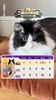 詹俊的猫预测世界杯赛果100%准确😱,今晚预测法国、挪威胜 詹俊的猫预测世界杯赛果100%准确😱,今晚预测法国、挪威胜