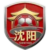 沈阳队